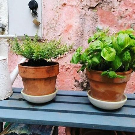 La Casa Di Mo Villa Albisola Superiore Buitenkant foto