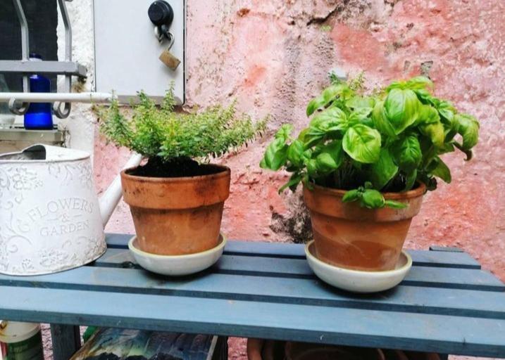 La Casa Di Mo Villa Albisola Superiore Buitenkant foto